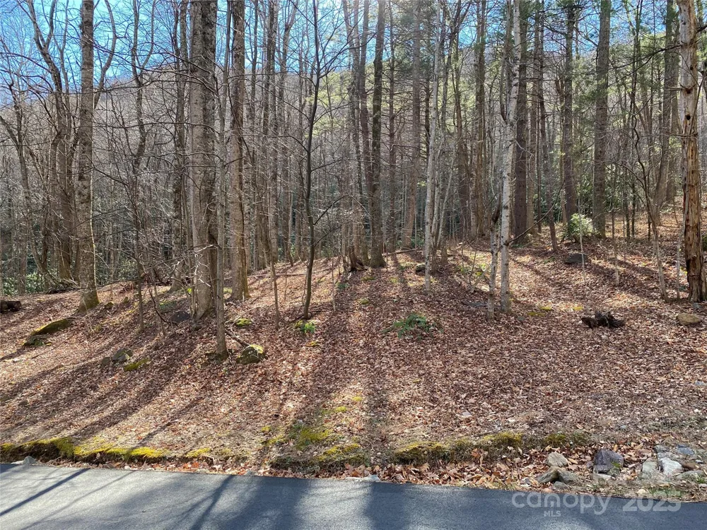 12 Laurel Branch Drive Black Mountain, NC 28711
