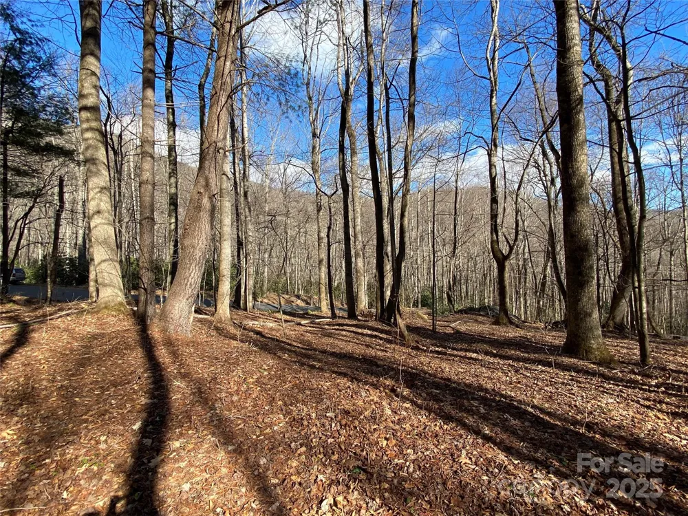 12 Laurel Branch Drive Black Mountain, NC 28711