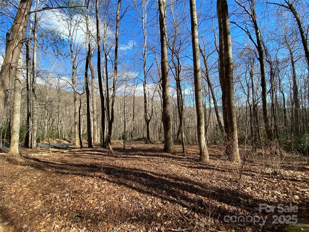 12 Laurel Branch Drive Black Mountain, NC 28711