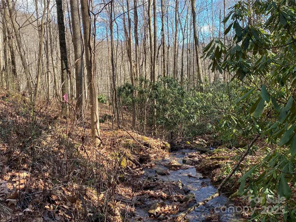 12 Laurel Branch Drive Black Mountain, NC 28711