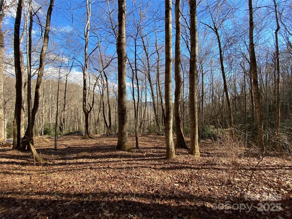 12 Laurel Branch Drive Black Mountain, NC 28711