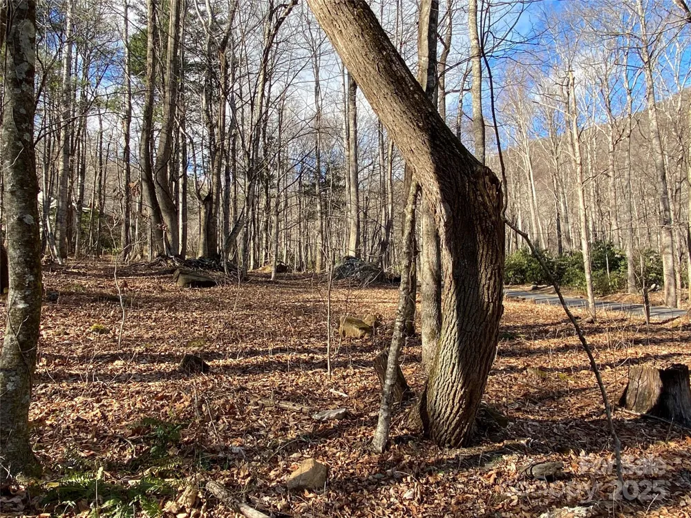 12 Laurel Branch Drive Black Mountain, NC 28711