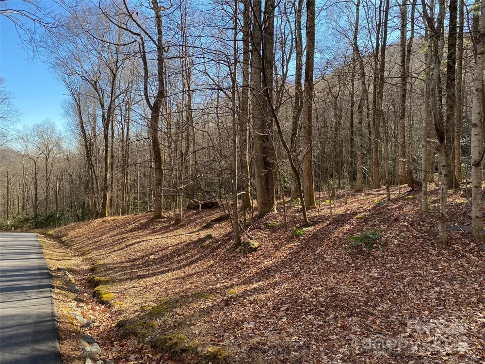 12 Laurel Branch Drive Black Mountain, NC 28711