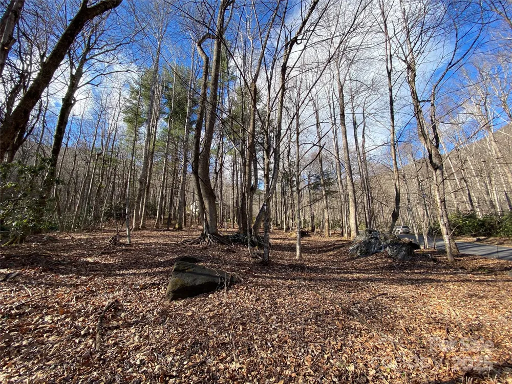 12 Laurel Branch Drive Black Mountain, NC 28711