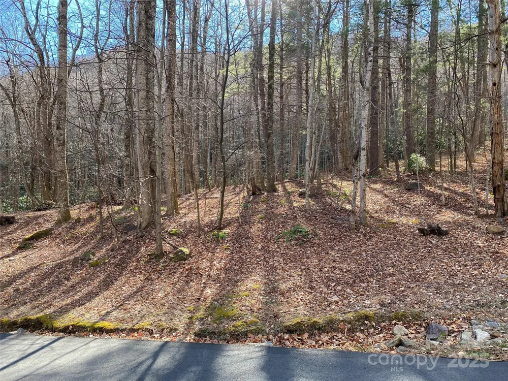 12 Laurel Branch Drive Black Mountain, NC 28711