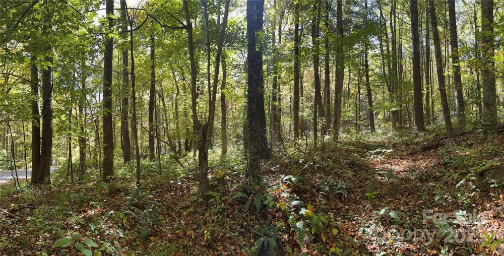 12 Laurel Branch Drive Black Mountain, NC 28711