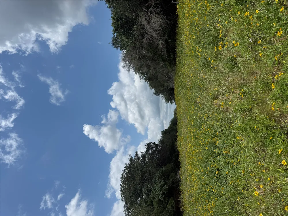 2135 Mule Creek Road Harwood, TX 78632