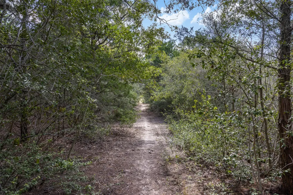 2135 Mule Creek Road Harwood, TX 78632