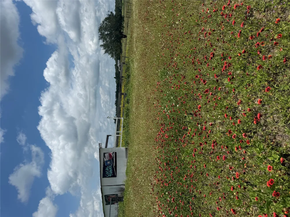2135 Mule Creek Road Harwood, TX 78632