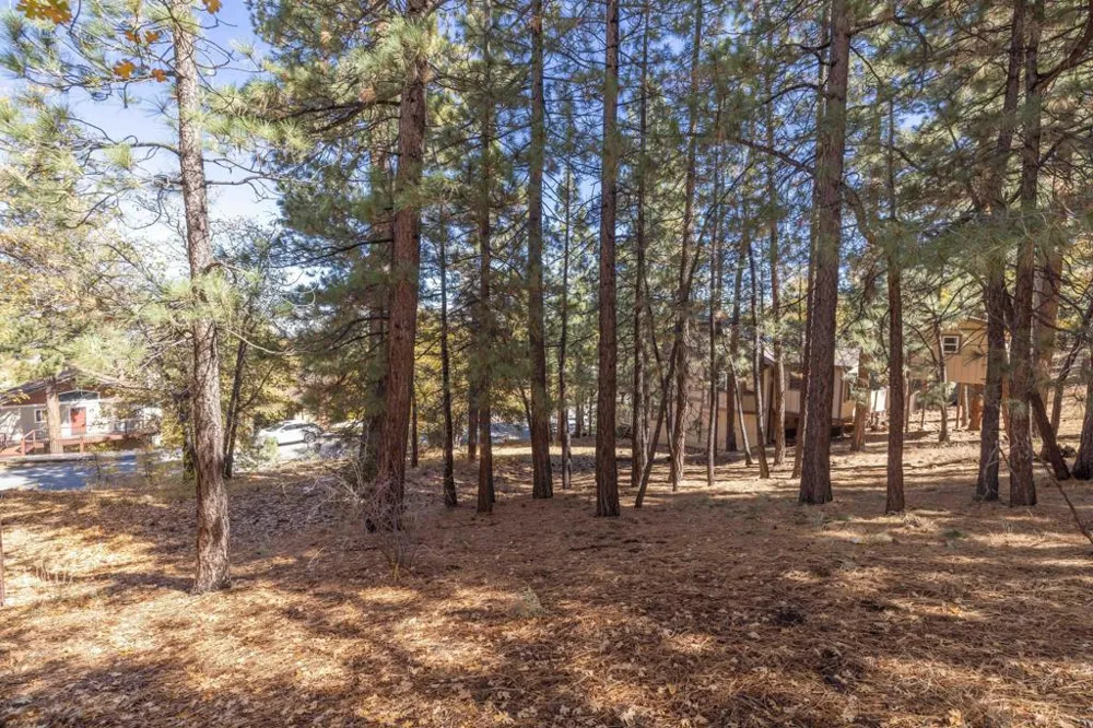 1409 Klamath Road Big Bear, CA 92314