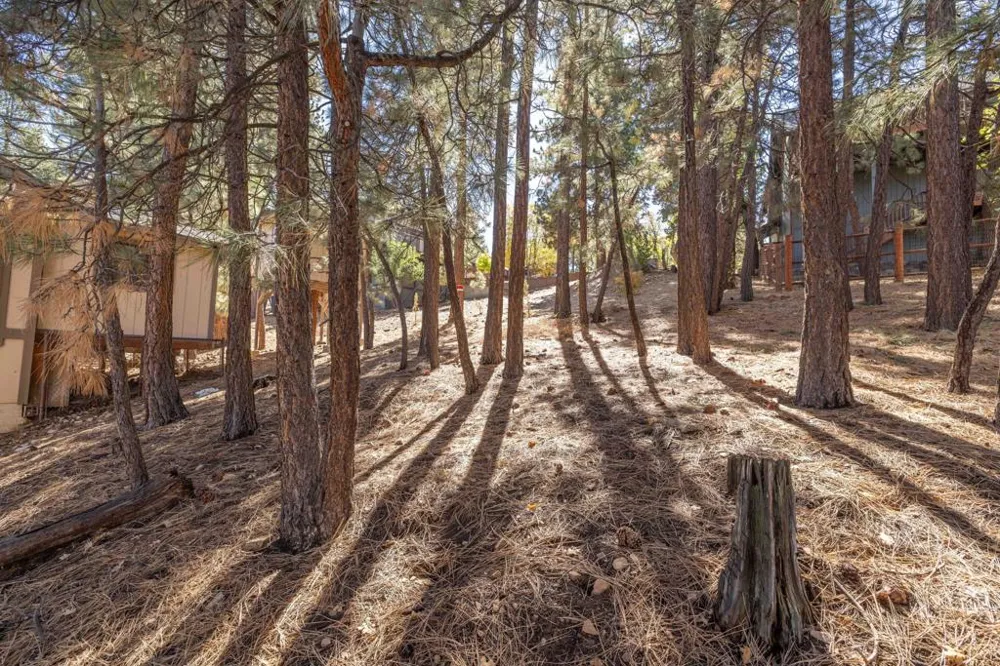 1409 Klamath Road Big Bear, CA 92314