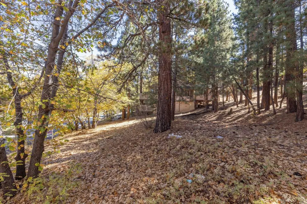 1409 Klamath Road Big Bear, CA 92314