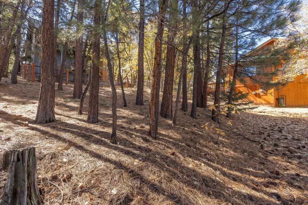 1409 Klamath Road Big Bear, CA 92314