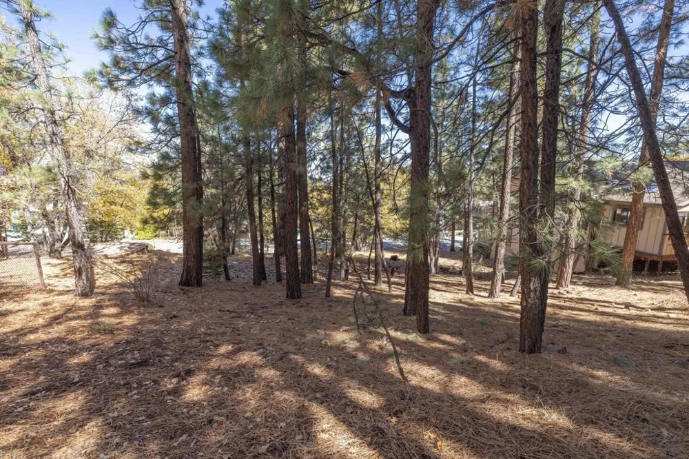 1409 Klamath Road Big Bear, CA 92314