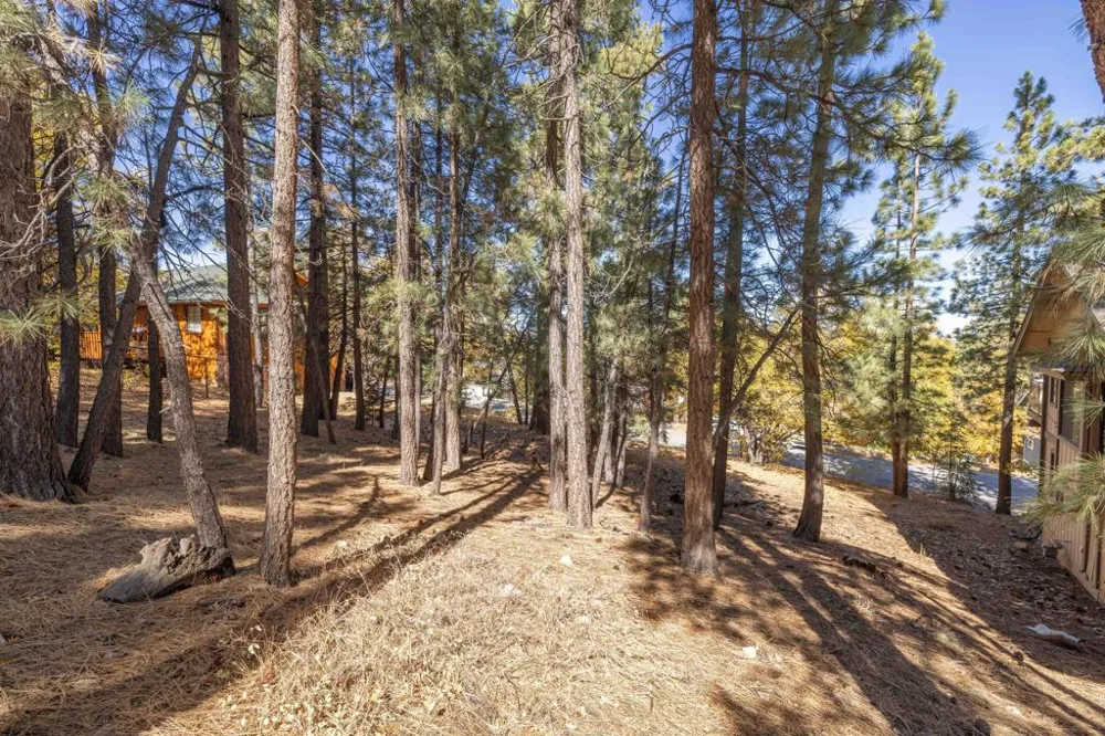 1409 Klamath Road Big Bear, CA 92314
