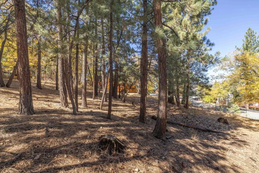 1409 Klamath Road Big Bear, CA 92314