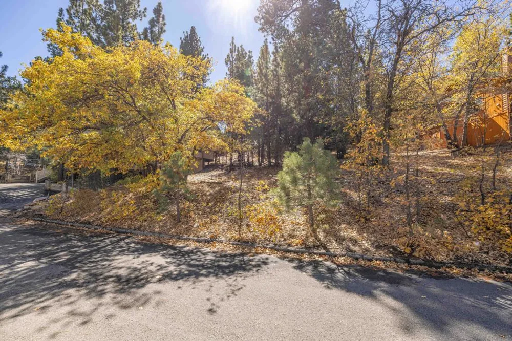 1409 Klamath Road Big Bear, CA 92314