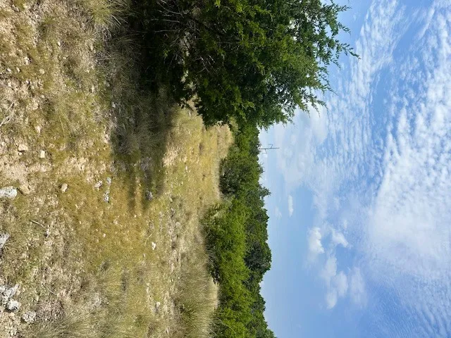 1 Soaring Eagle Drive Fischer, TX 78623