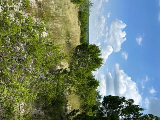 1 Soaring Eagle Drive Fischer, TX 78623