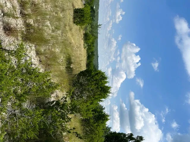 1 Soaring Eagle Drive Fischer, TX 78623