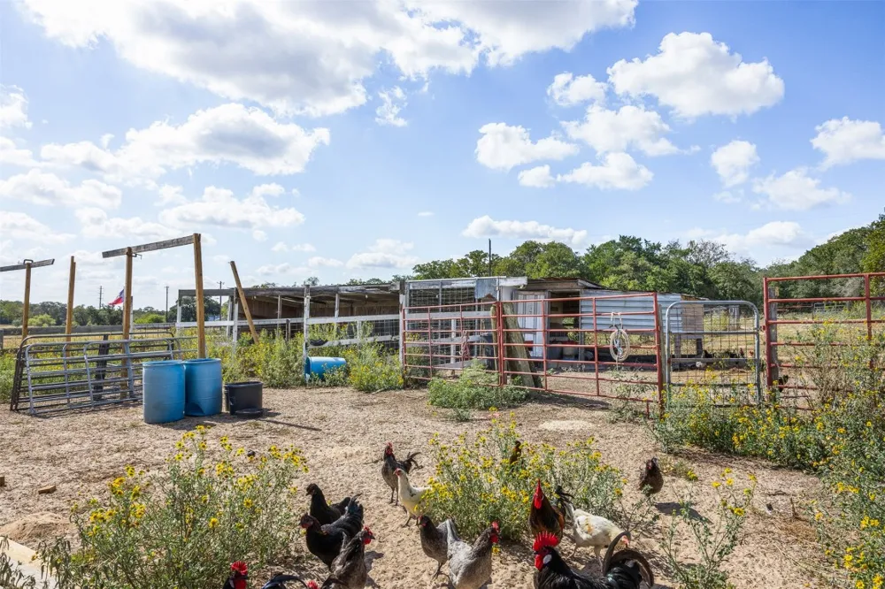 2135 Mule Creek Road Harwood, TX 78632