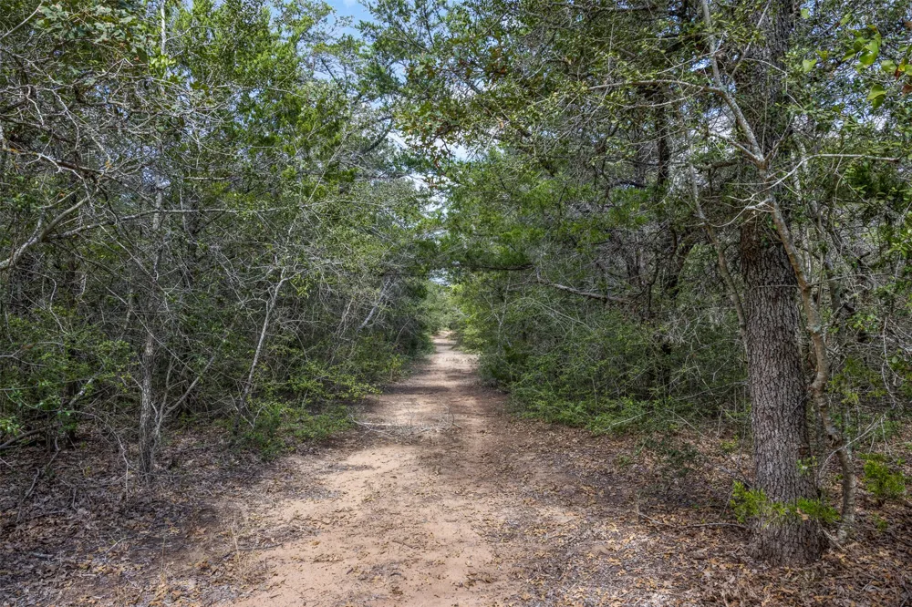 2135 Mule Creek Road Harwood, TX 78632