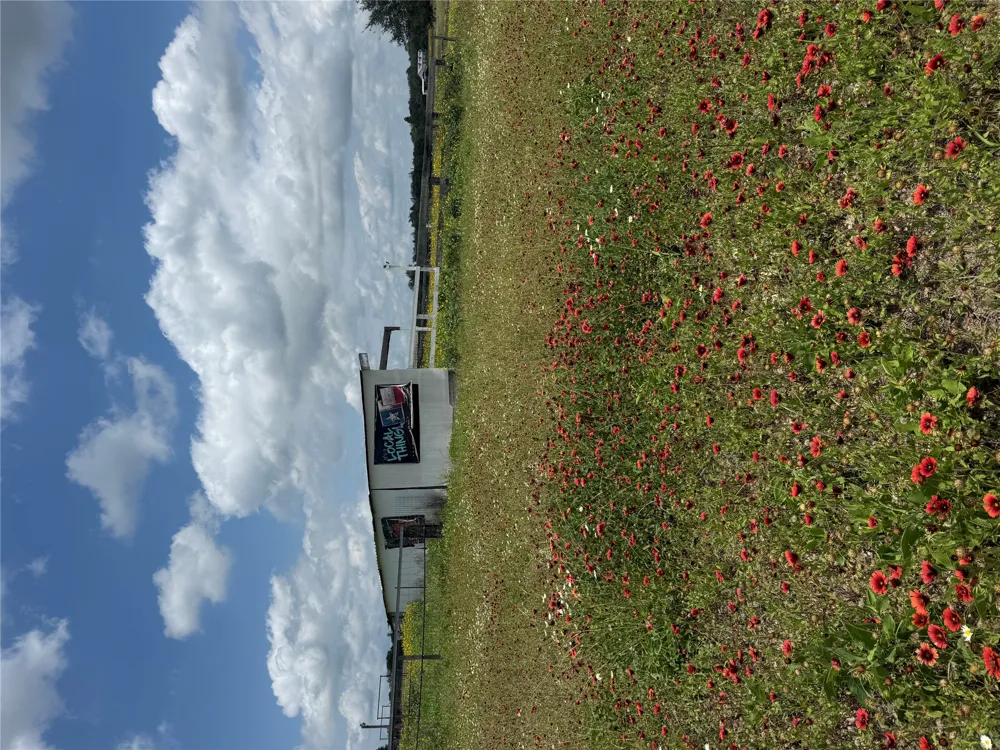2135 Mule Creek Road Harwood, TX 78632