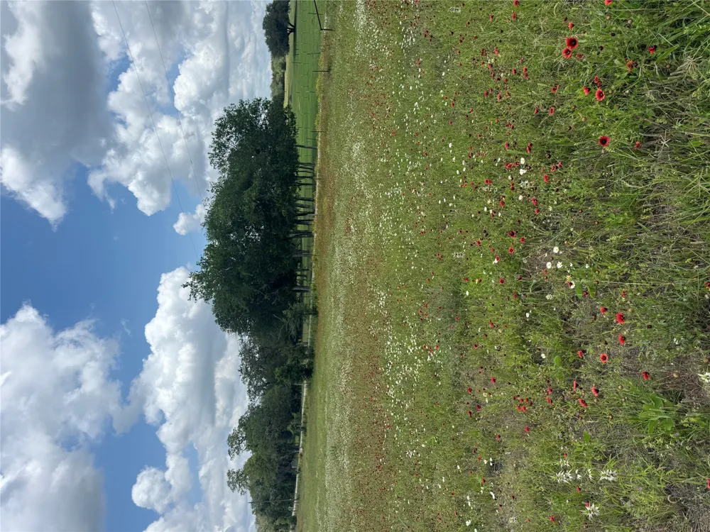 2135 Mule Creek Road Harwood, TX 78632