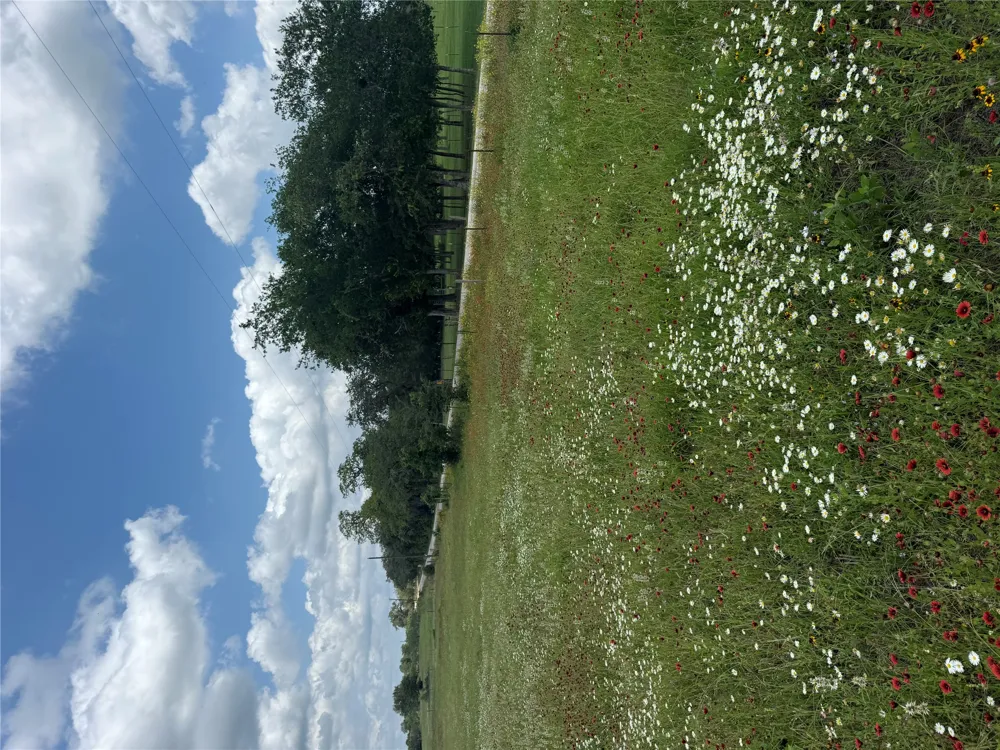 2135 Mule Creek Road Harwood, TX 78632