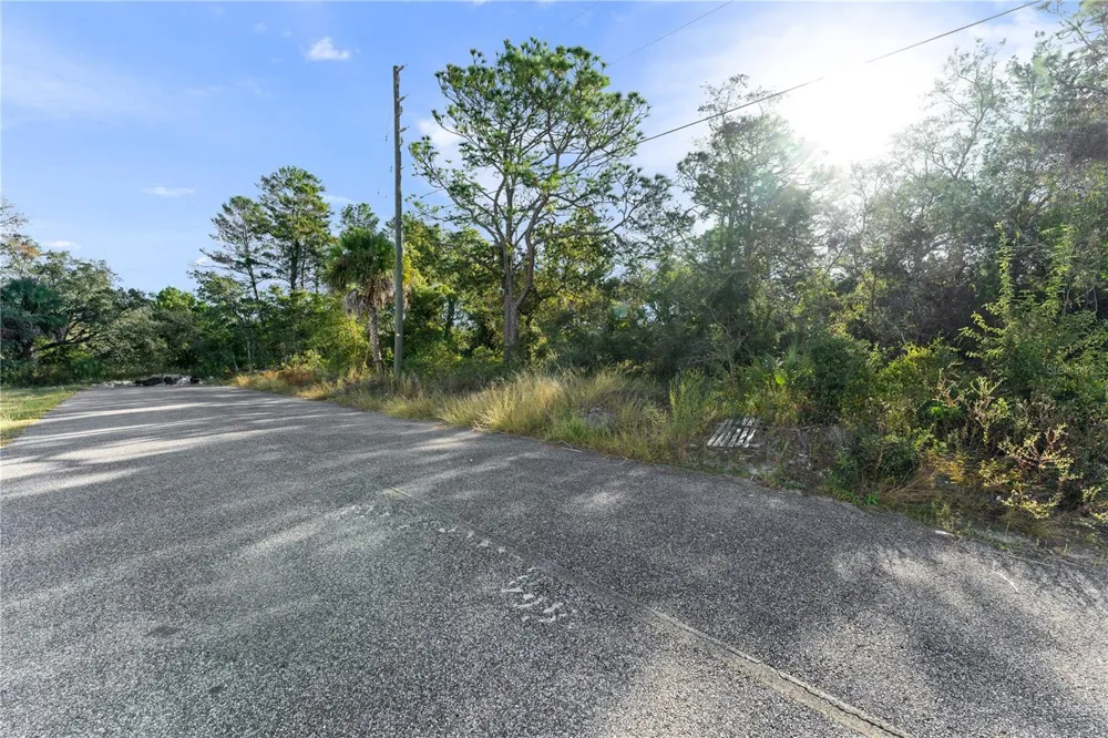 3560 DIAGONAL LANE Spring Hill, FL 34606