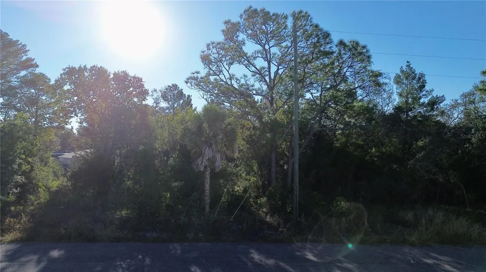 3560 DIAGONAL LANE Spring Hill, FL 34606
