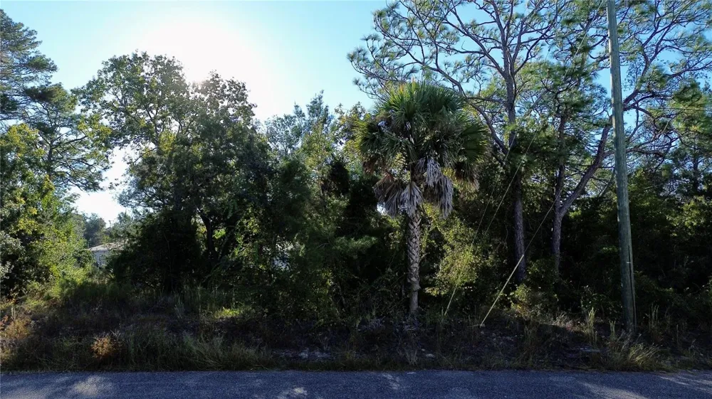 3560 DIAGONAL LANE Spring Hill, FL 34606