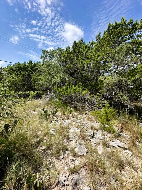 2 Soaring Eagle Drive Fischer, TX 78623