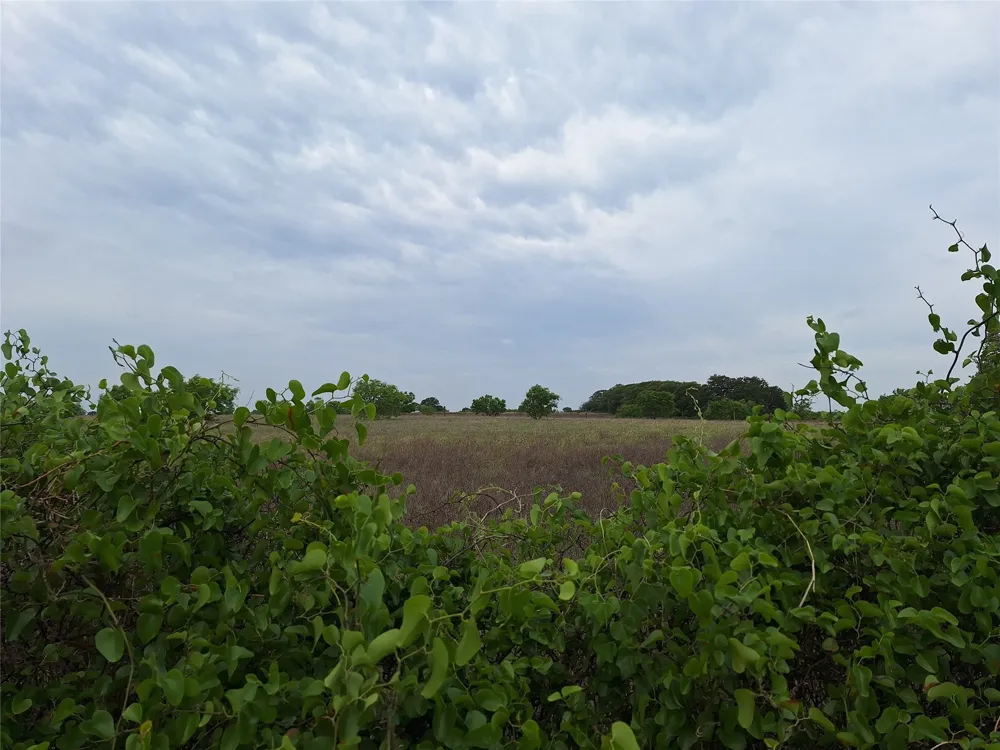 2839 FM 45 Richland Springs, TX 76871