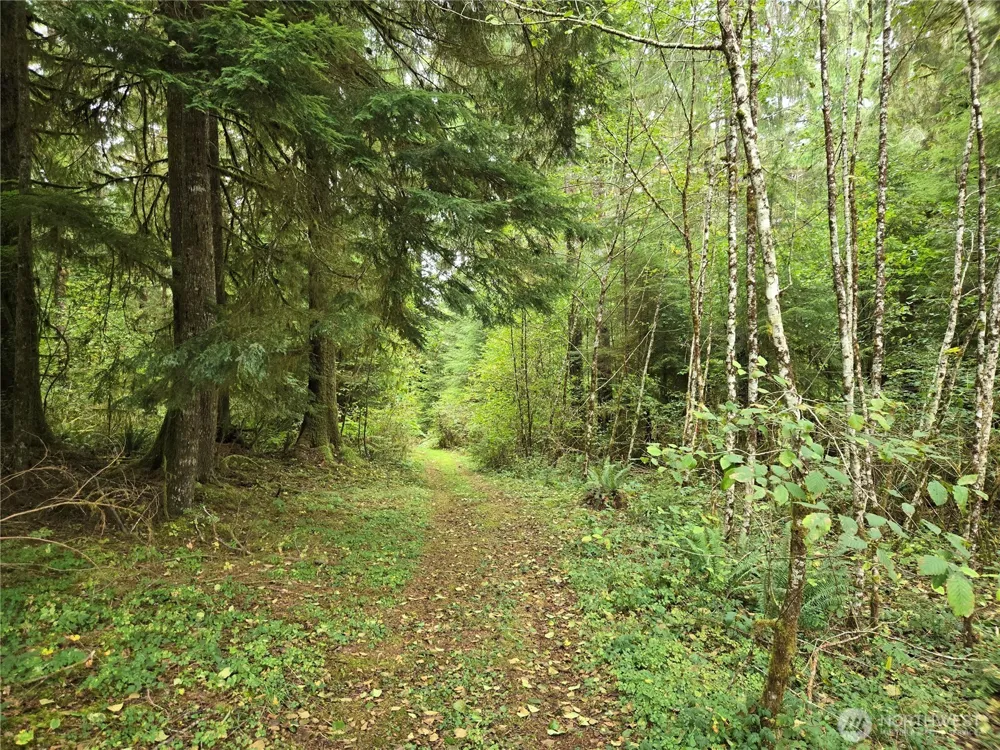 0 Lund Road Cosmopolis, WA 98537