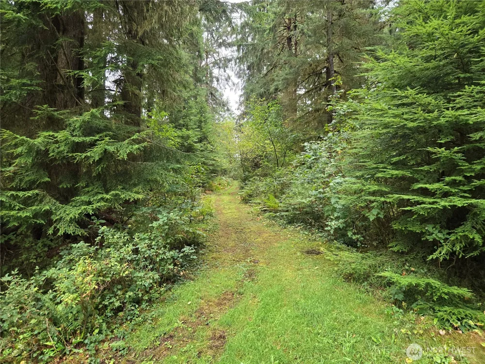 0 Lund Road Cosmopolis, WA 98537
