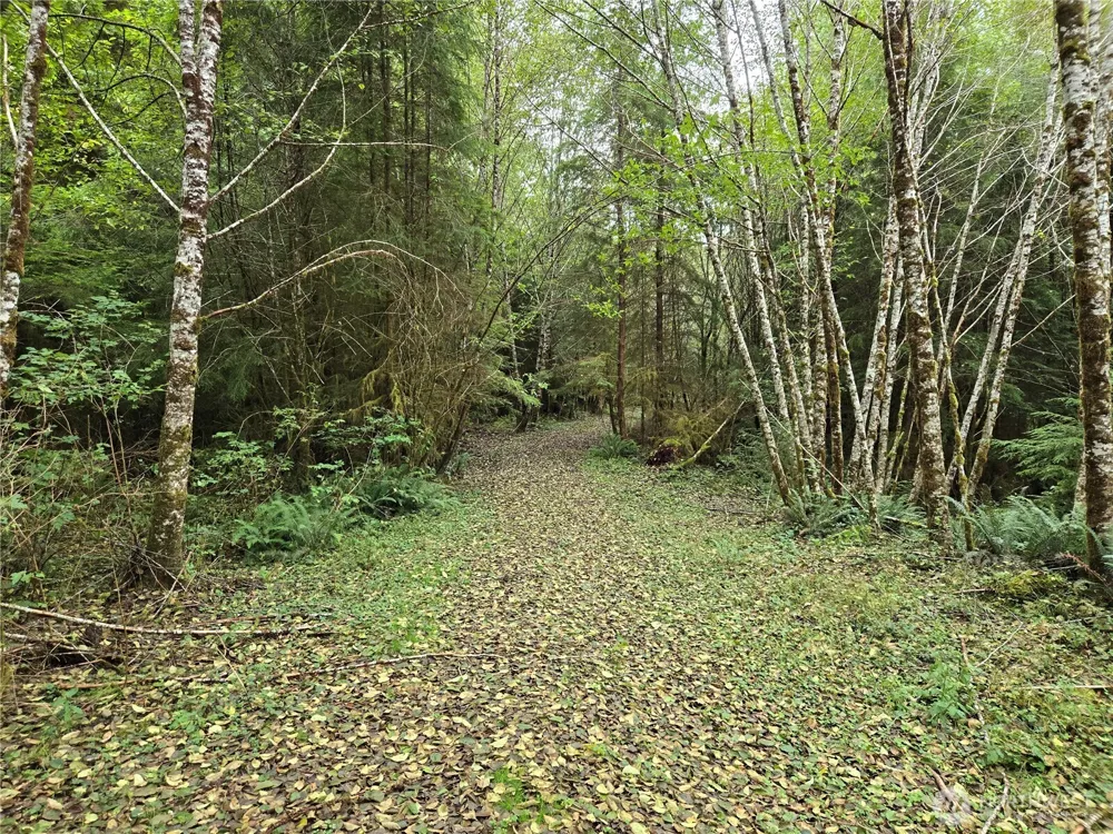 0 Lund Road Cosmopolis, WA 98537