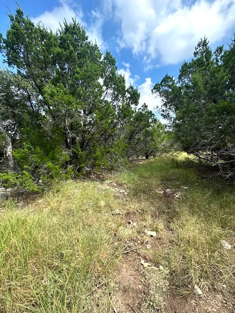 4 Royal Eagle Drive Fischer, TX 78623