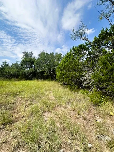 4 Royal Eagle Drive Fischer, TX 78623