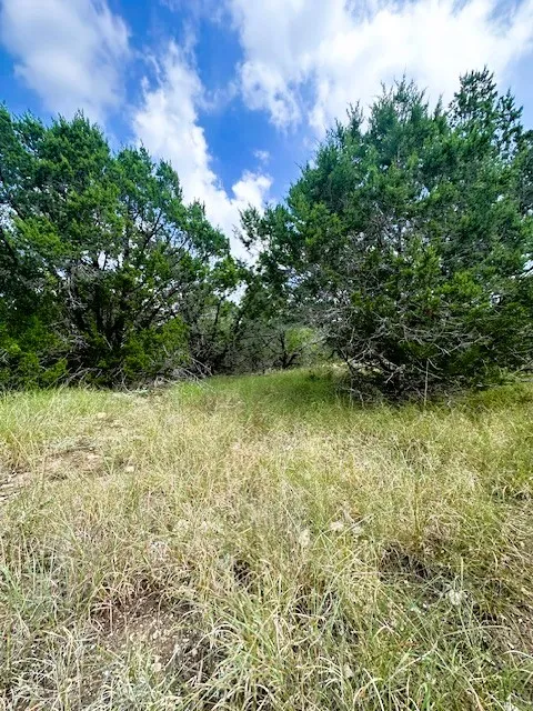 4 Royal Eagle Drive Fischer, TX 78623