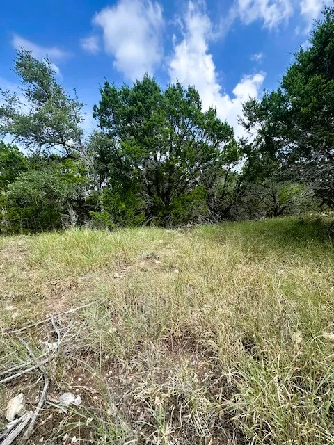 4 Royal Eagle Drive Fischer, TX 78623
