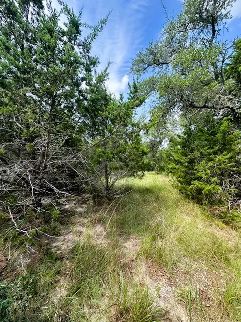 4 Royal Eagle Drive Fischer, TX 78623