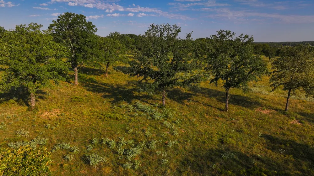 675 Hundley Road Montague, TX 76251