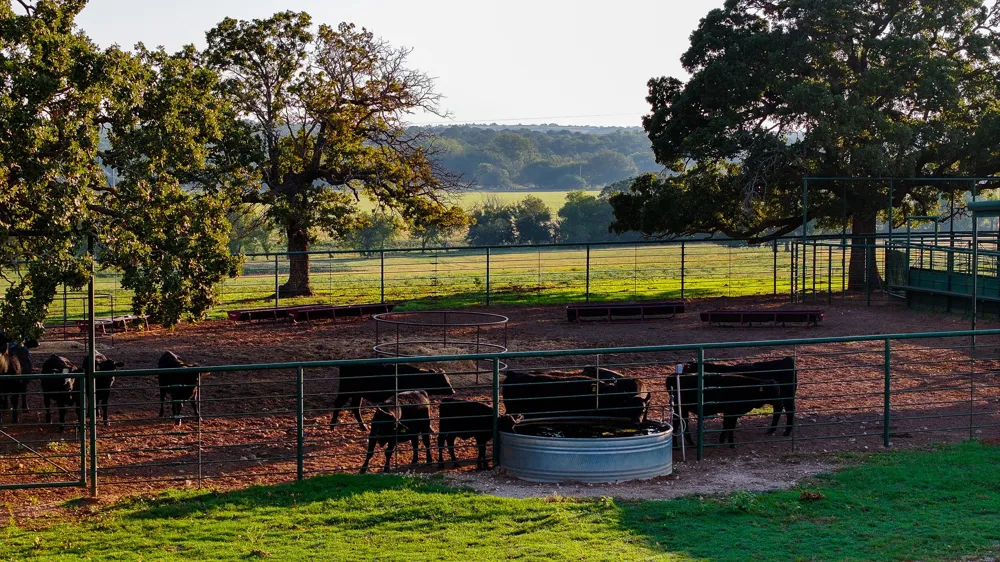 675 Hundley Road Montague, TX 76251