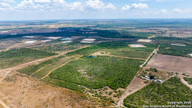 000 County Road 332 Runge, TX 78151