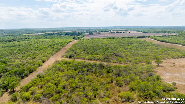 000 County Road 332 Runge, TX 78151