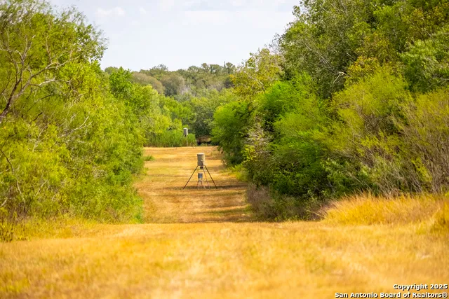 000 County Road 332 Runge, TX 78151