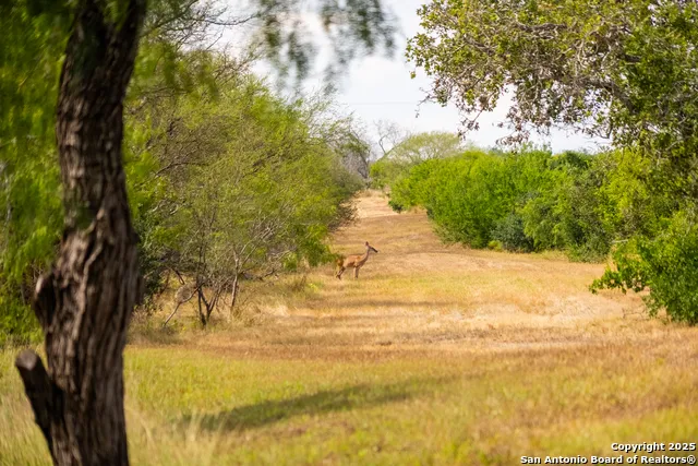 000 County Road 332 Runge, TX 78151