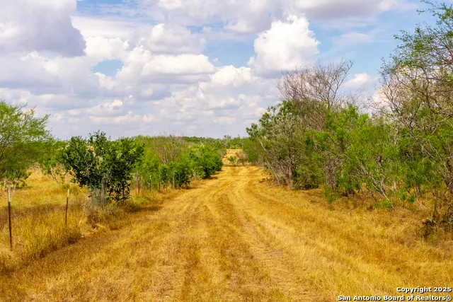 000 County Road 332 Runge, TX 78151