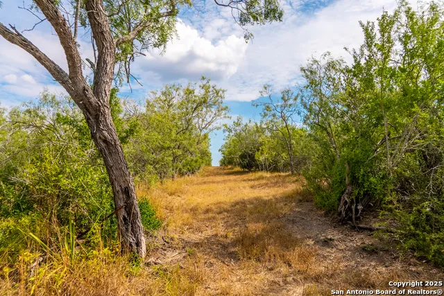 000 County Road 332 Runge, TX 78151